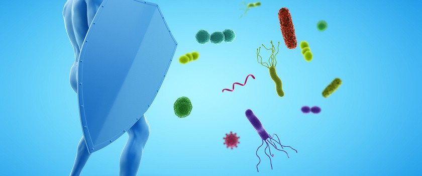 Jak wspomóc swoją odporność? Poznaj sposoby na wzmocnienie układu immunologicznego