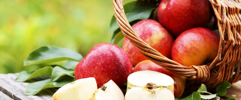 Jedzmy jabłka "na złość" i na zdrowie...