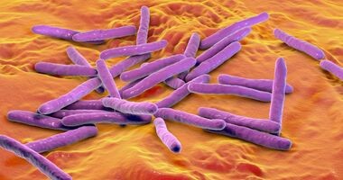 trąd w Europie, przypadki trądu w Europie, prątki trądu