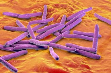 trąd w Europie, przypadki trądu w Europie, prątki trądu