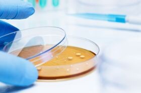 Zdjęcie przedstawia laboratorium, gdzie badane są bakterie i mikrobiom