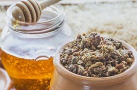 propolis, propolis na odporność, produkty pszczele, propolis i miód