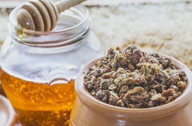 propolis, propolis na odporność, produkty pszczele, propolis i miód