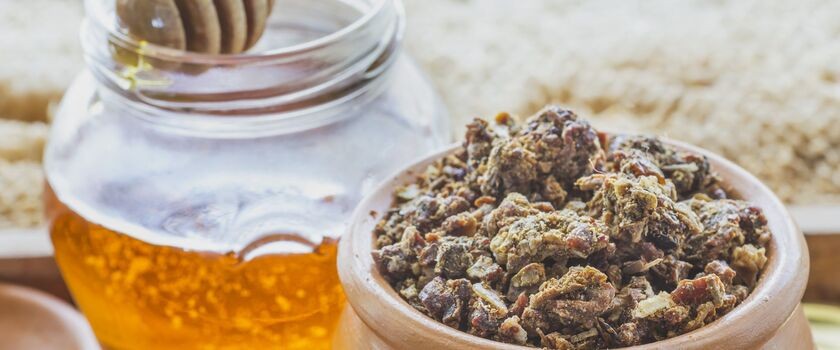propolis, propolis na odporność, produkty pszczele, propolis i miód