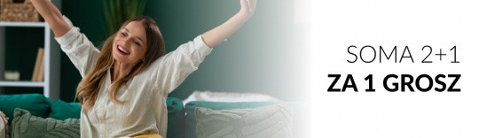 Soma 2+1 za 1 grosz