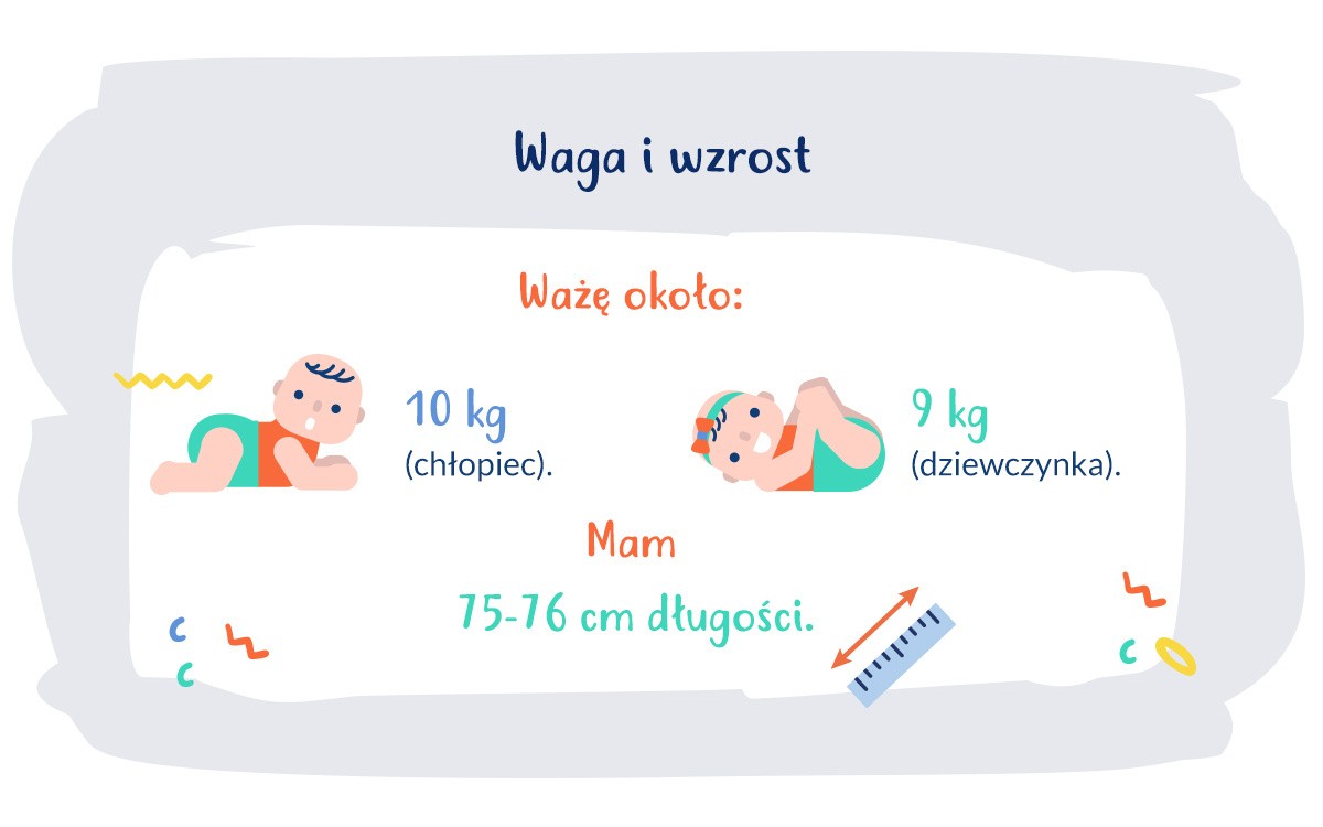 infografika waga i wzrost dziecka w 10. miesiącu życia