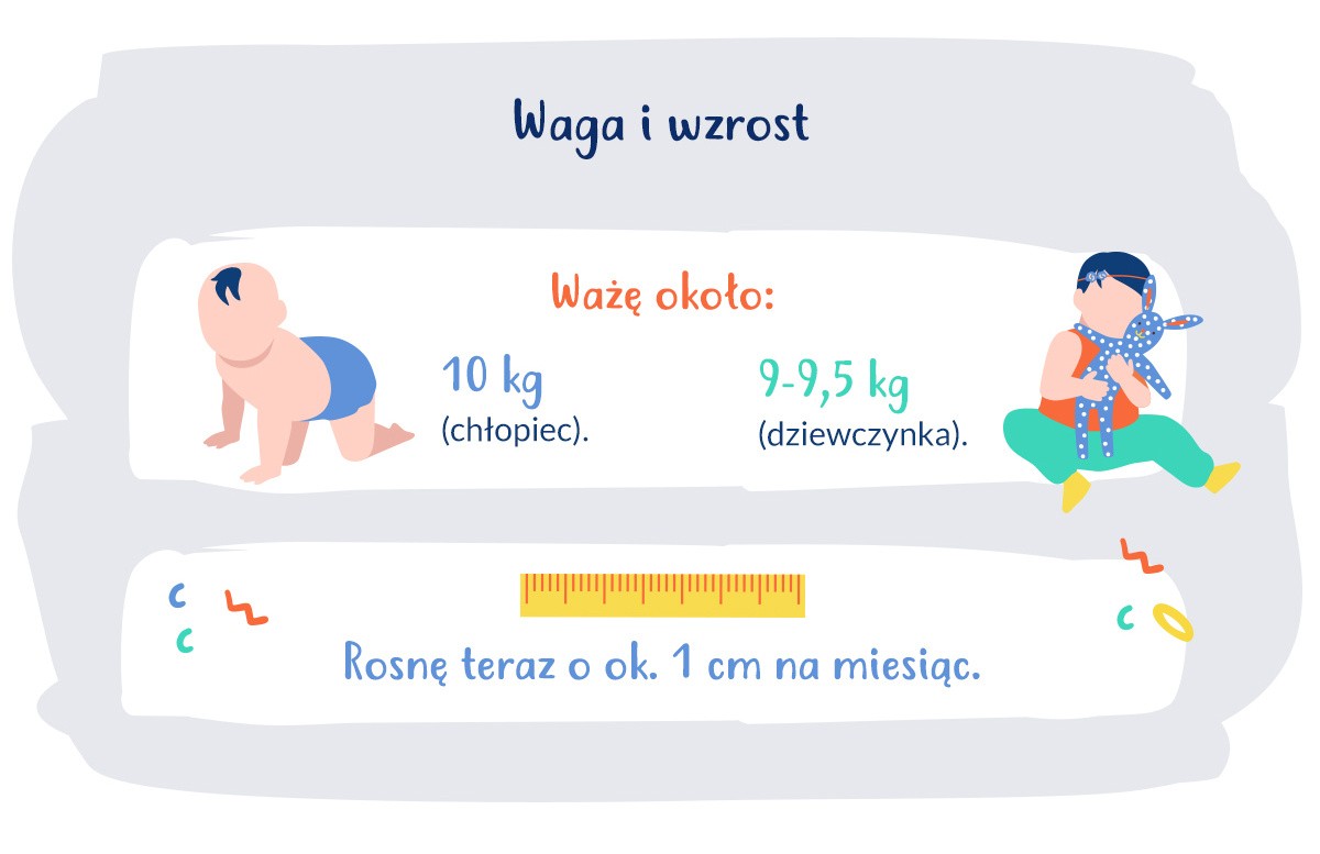 infografika wymiary dziecka w 11. miesiącu życia