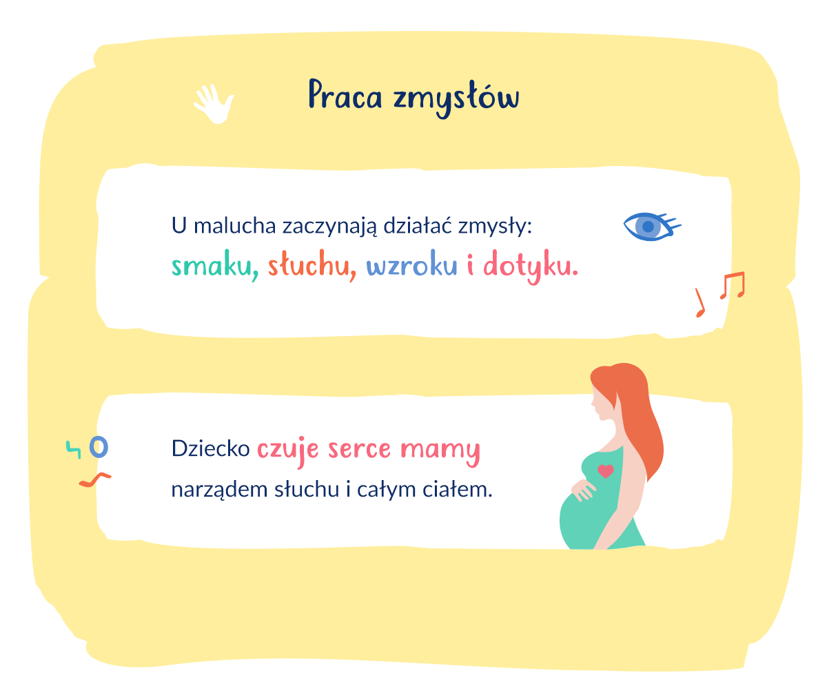 infografika zmysły płodu w 20. tygodniu ciąży