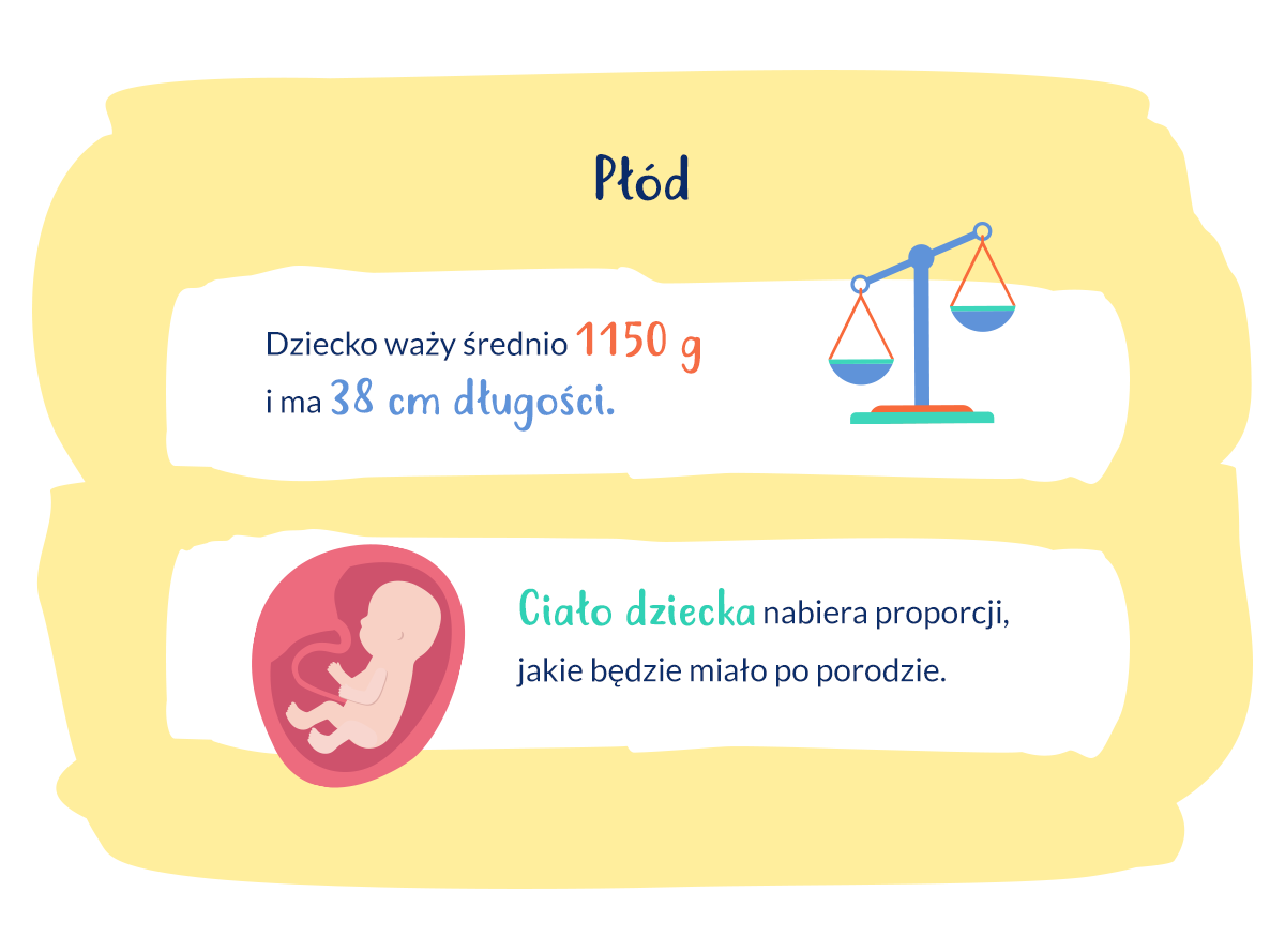 infografika rozwój dziecka w 28. tygodniu ciąży