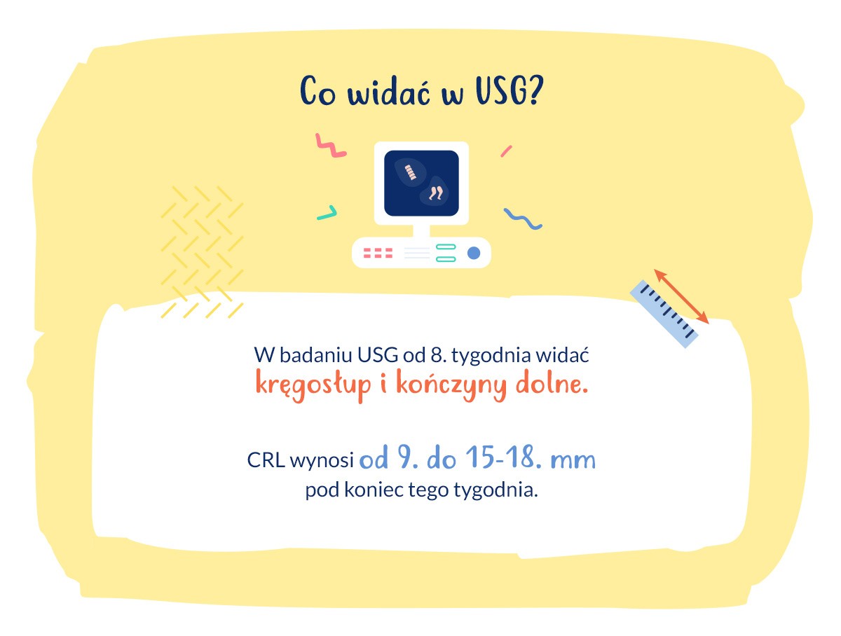 infografika co widać w usg w 8. tygodniu ciąży