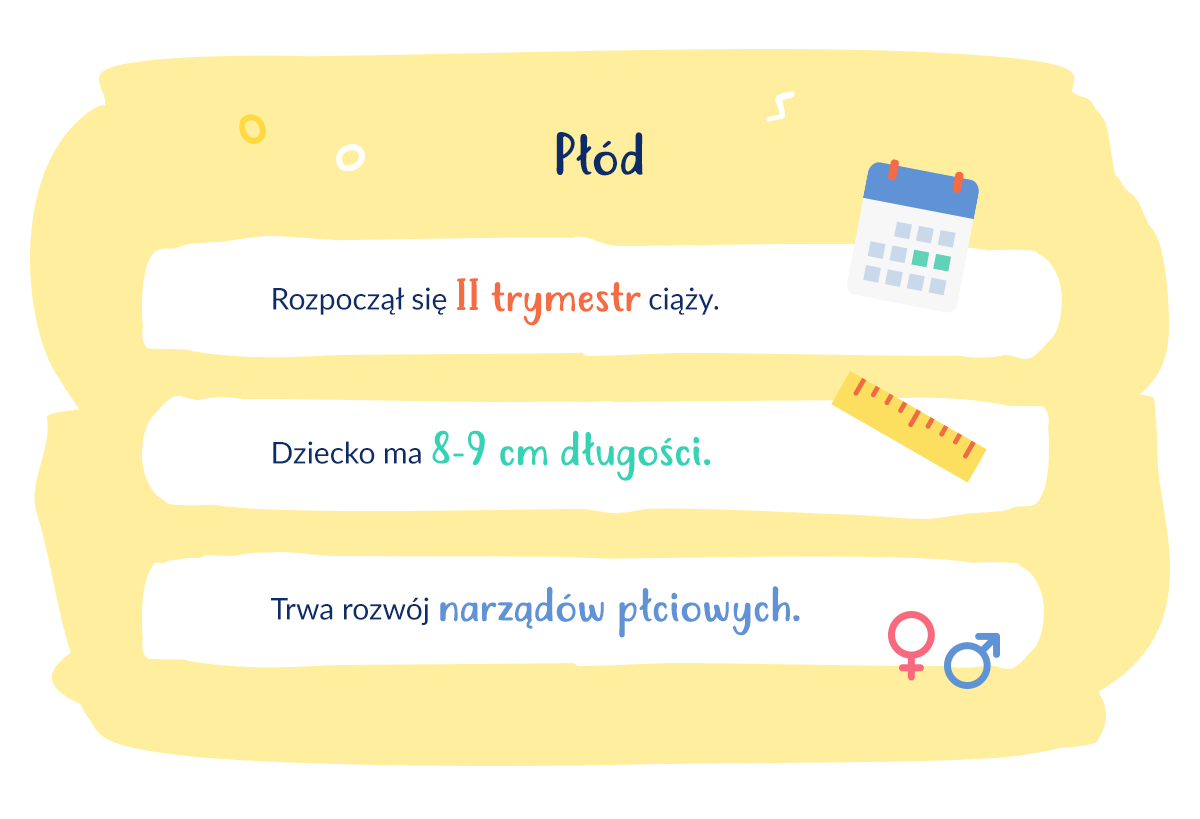 infografika rozwój dziecka w 14. tygodniu ciąży
