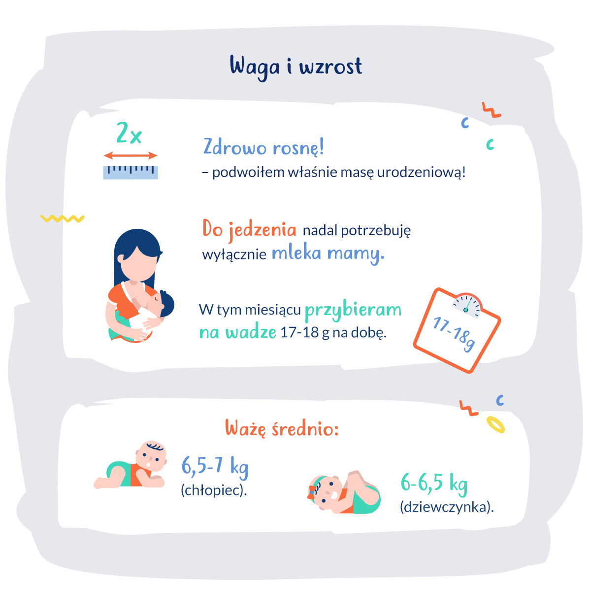infografika waga i wzrost dziecka w 4 miesiącu życia