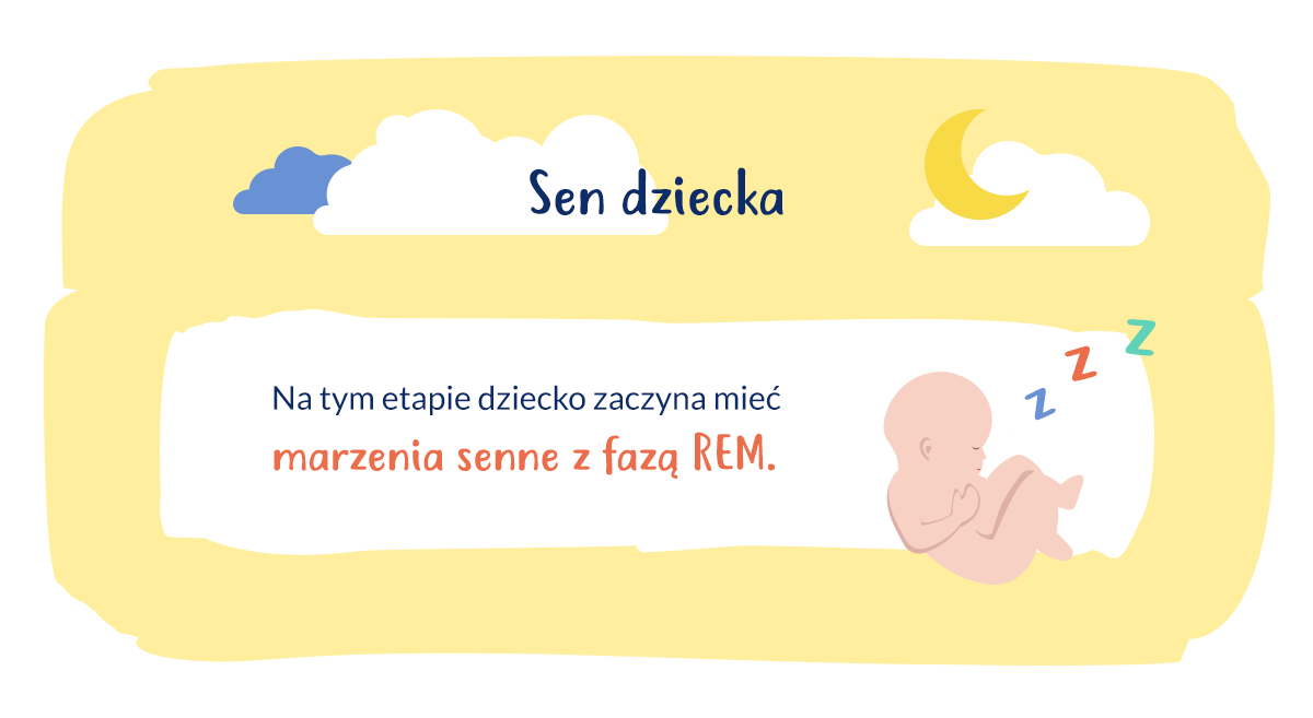 infografika sen dziecka w 28. tygodniu ciąży