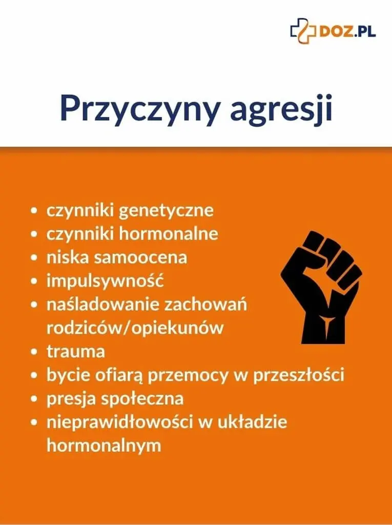 Najczęstsze przyczyny agresji