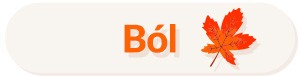 Ból