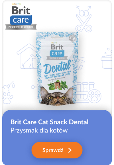 brit