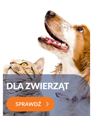 dla zwierząt
