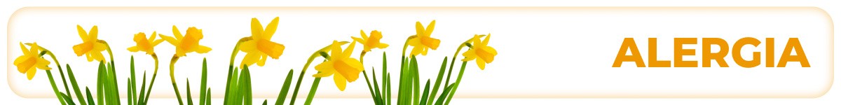 Alergia