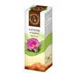 Czystek w kroplach, płyn, 100 ml