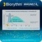 Biorythm Magnez B6, kapsułki o przedłużonym uwalnianiu, 30 szt.