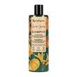 Vis Plantis, szampon do włosów osłabionych zabiegami stylizacyjnymi, pestki dyni, pszenica, owies, 400ml