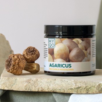 MYQO Agaricus - Pieczarka migdałowa, kapsułki, 90 szt.