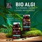 Diet-Food Bio Chlorella, tabletki, 375 szt.
