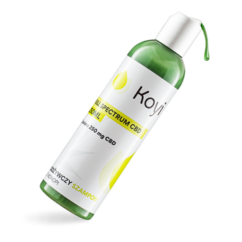 Koyi, szampon konopny z CBD, 250 ml