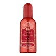 Tesori d'Oriente, woda toaletowa, Fiore del Dragone, 100 ml