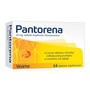 Pantorena, 20 mg, tabletki dojelitowe, 14 szt