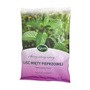 Liść mięty, zioła do zaparzania, 50 g (Kawon)