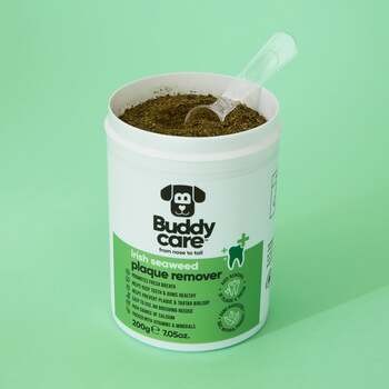 Buddycare, środek z alg irlandzkich do usuwania płytki nazębnej, 75 g