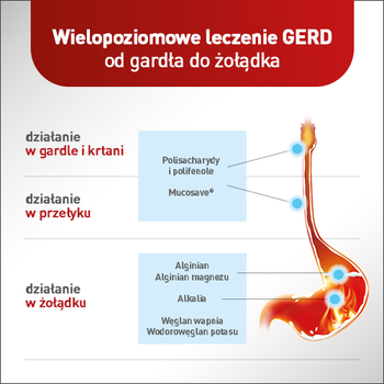Mucoref Alugastrin, proszek, 14 saszetek