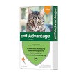 Advantage 40, 100 mg/ml, krople przeciw pchłom dla kotów poniżej 4 kg, 0,4 ml x 4 szt.