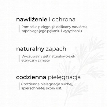 Sylveco, miętowa pomadka z peelingiem z betuliną, 4,6 g