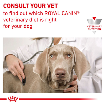 Royal Canin Vet Dog Urinary, dietetyczna karma mokra dla dorosłych psów z kamieniami moczowymi i chorobami dolnych dróg moczowych, saszetki, 100 g x 12 szt.
