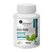Aliness Gotu Kola 400 mg, kapsułki, 100 szt.