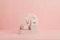 Paese, Puff Cloud, puder do twarzy, 7 g