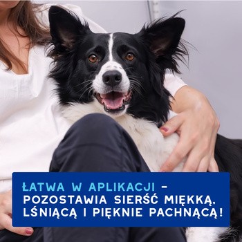Douxo Spa Quick Refresh Dog Mousse, Pianka bez spłukiwania dla psów, 150 ml