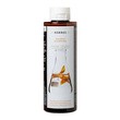 Korres Sunflower and Mountain Tea, szampon do włosów farbowanych, 200 ml