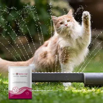 Vet Protector Gastro-Elektro, proszek, 3 g