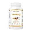 Natural Herbs Cordyceps 750 mg Ekstrakt z owoców maczużnika chińskiego, kapsułki, 120 szt.