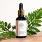BeeHerbs, serum do twarzy do cery trądzikowej, betulina & dzika róża, 30 ml