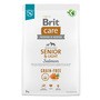Brit Care Dog Grain-free Senior & Light, bezzbożowa karma dla starszych psów wszystkich ras, łosoś i ziemniaki, 3 kg