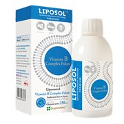 Liposol Liposomal Vitamin B Complex Folate, płyn, 250 ml https://azcdn.doz.pl/image/d/product/74ad457f-scale-180x180.png
