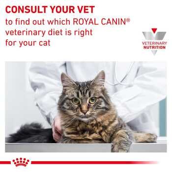 Royal Canin Cat Gastrointestinal Moderate Calorie, mokra karma dla kotów z zaburzeniami żołądkowo-jelitowymi, z tendencją do nadwagi, saszetka, 85 g x 12 szt.
