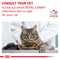 Royal Canin Cat Gastrointestinal Moderate Calorie, mokra karma dla kotów z zaburzeniami żołądkowo-jelitowymi, z tendencją do nadwagi, saszetka, 85 g x 12 szt.