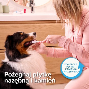 Beaphar Dental Kit, zestaw do czyszczenia zębów dla psów i kotów, 1 szt.