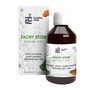 Healthy Herb Zacny Stoik, płyn, 250 ml