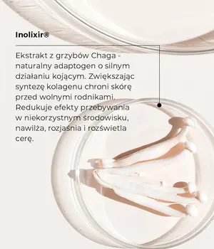 Veoli Botanica Chaga Mood Booster, primer nawilżająco-kojący do twarzy, 30 ml